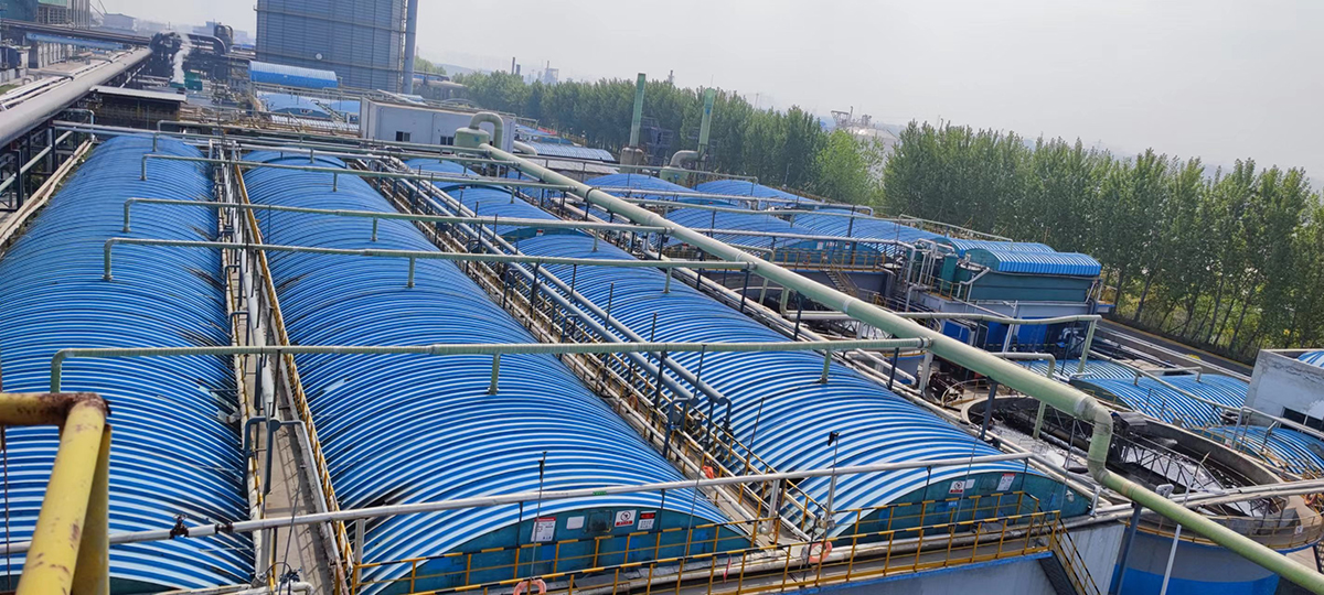 薛（xuē）焦 (2)